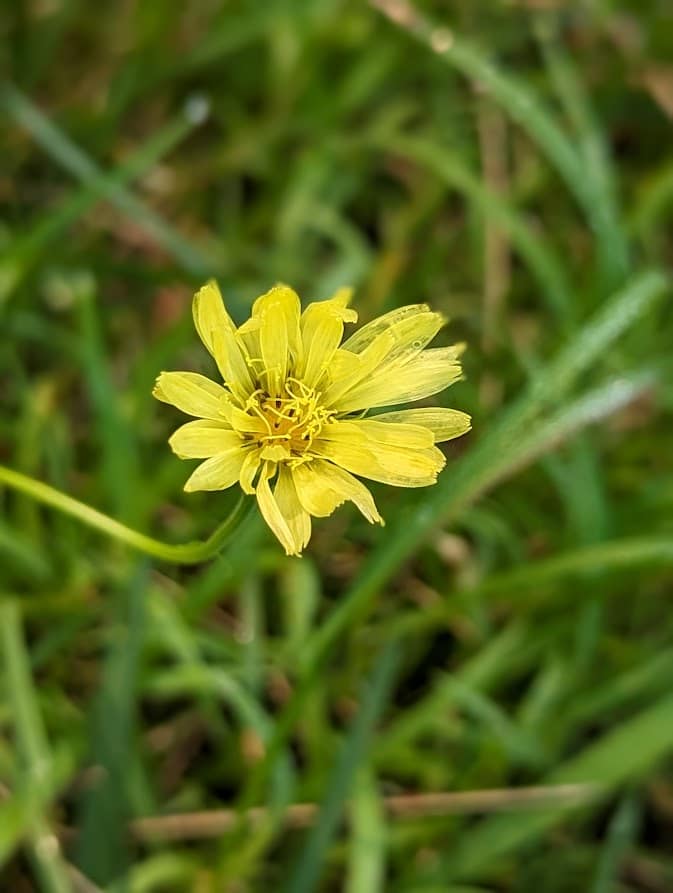 Changing directions Tanya Baksha